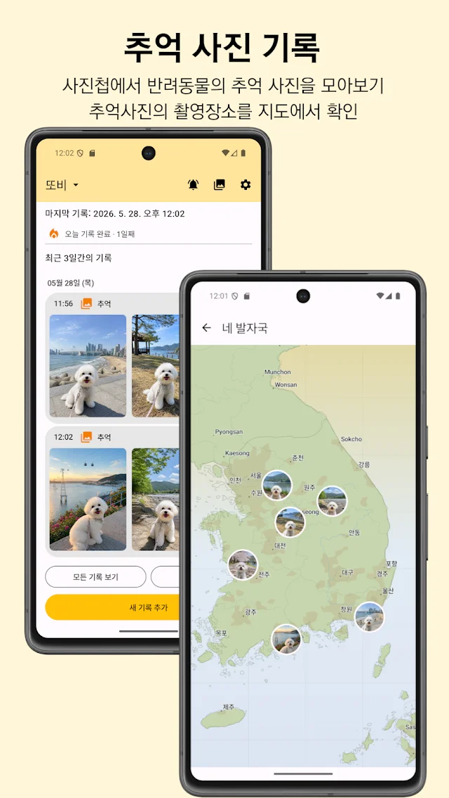 Beecabi 통계 화면 스크린샷